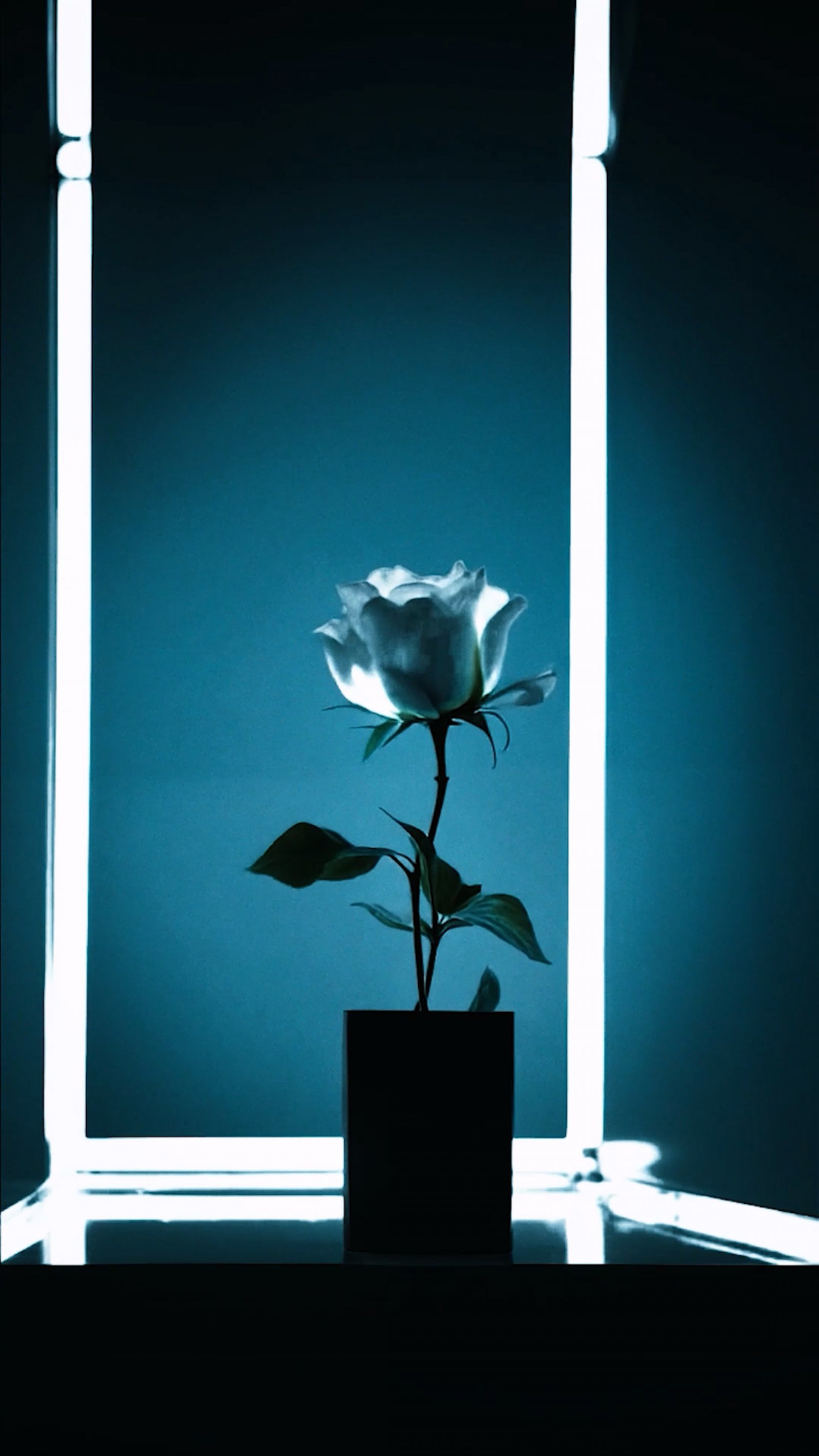 20251014_¿øÈ£ (3).jpg