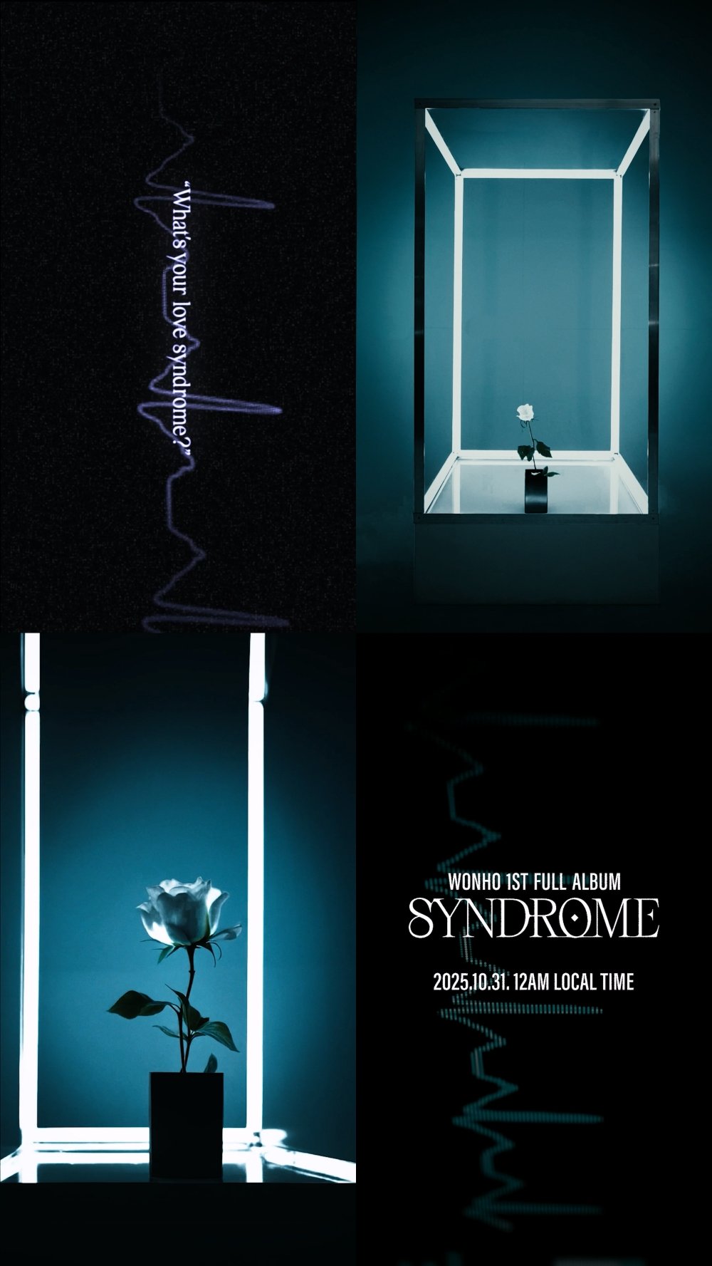 20251014_¿øÈ£ ÇÕº».jpg