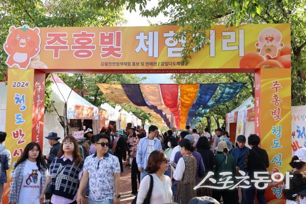 지난해 청도반시축제 및 청도세계코미디아트페스티벌 행사장 모습. 사진제공 ㅣ 청도군