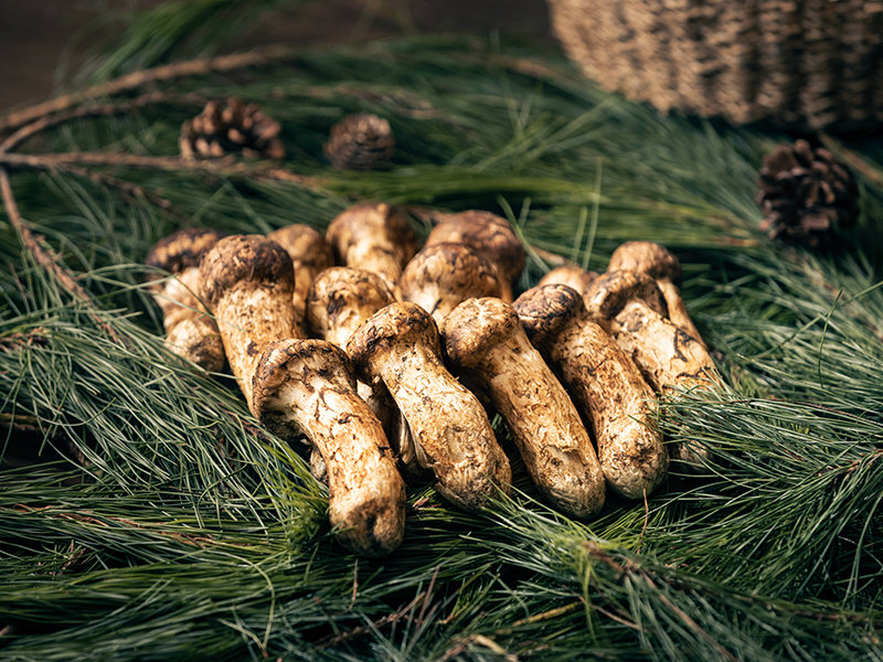 자연산 송이 사진제공 | 앰베서더 서울 풀만호텔