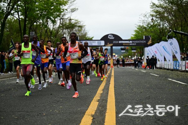 지난해 동아일보 경주국제마라톤대회에서 선수들이 출발하고 있다. 사진제공 ㅣ 경주시