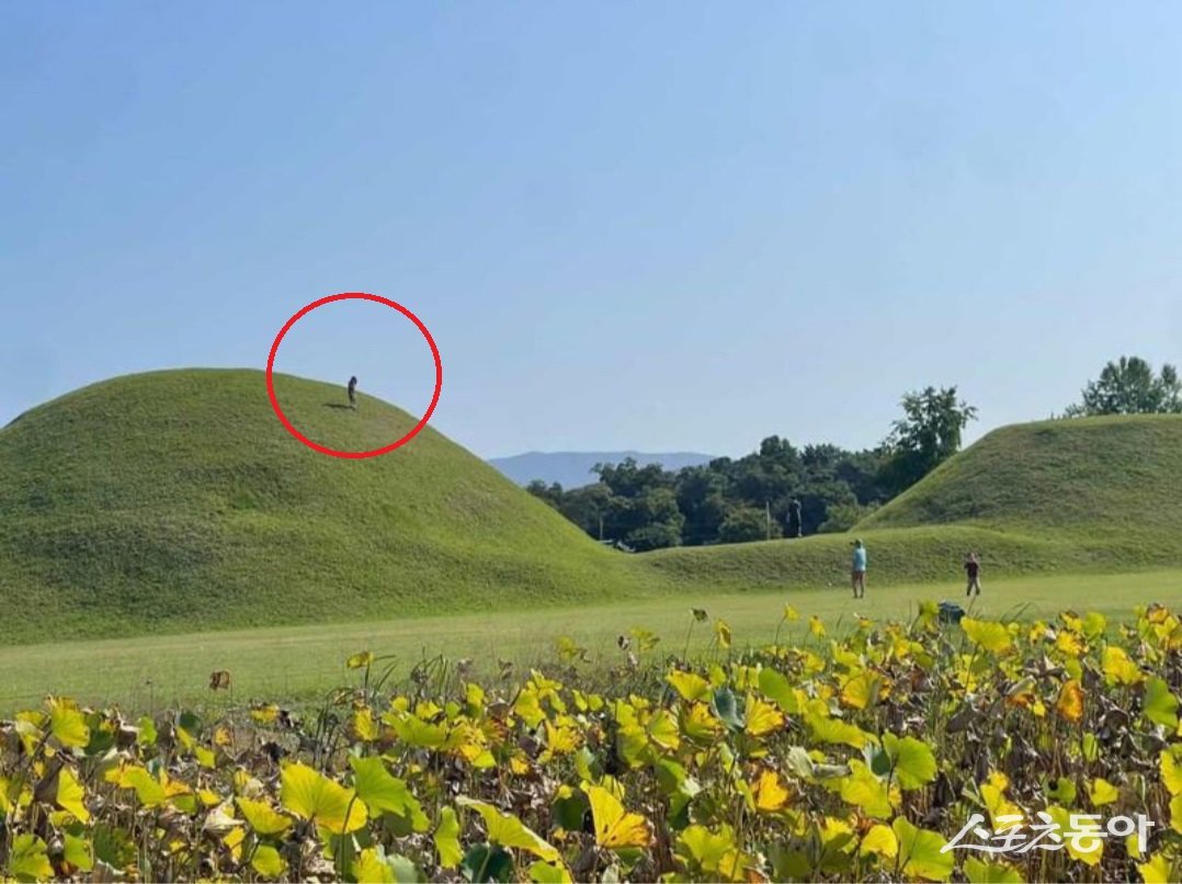 신라 고분 위에 아이가 올라가 있는 모습. (사진제공=서경덕 성신여대 교수)