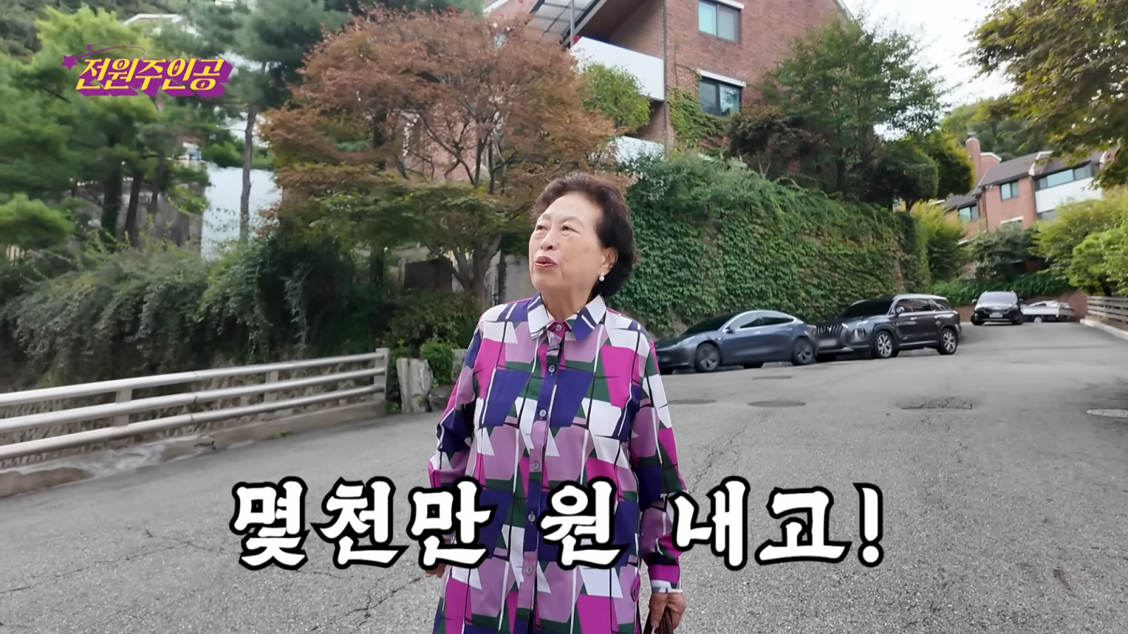 유튜브 채널 ‘전원주인공’ 캡처