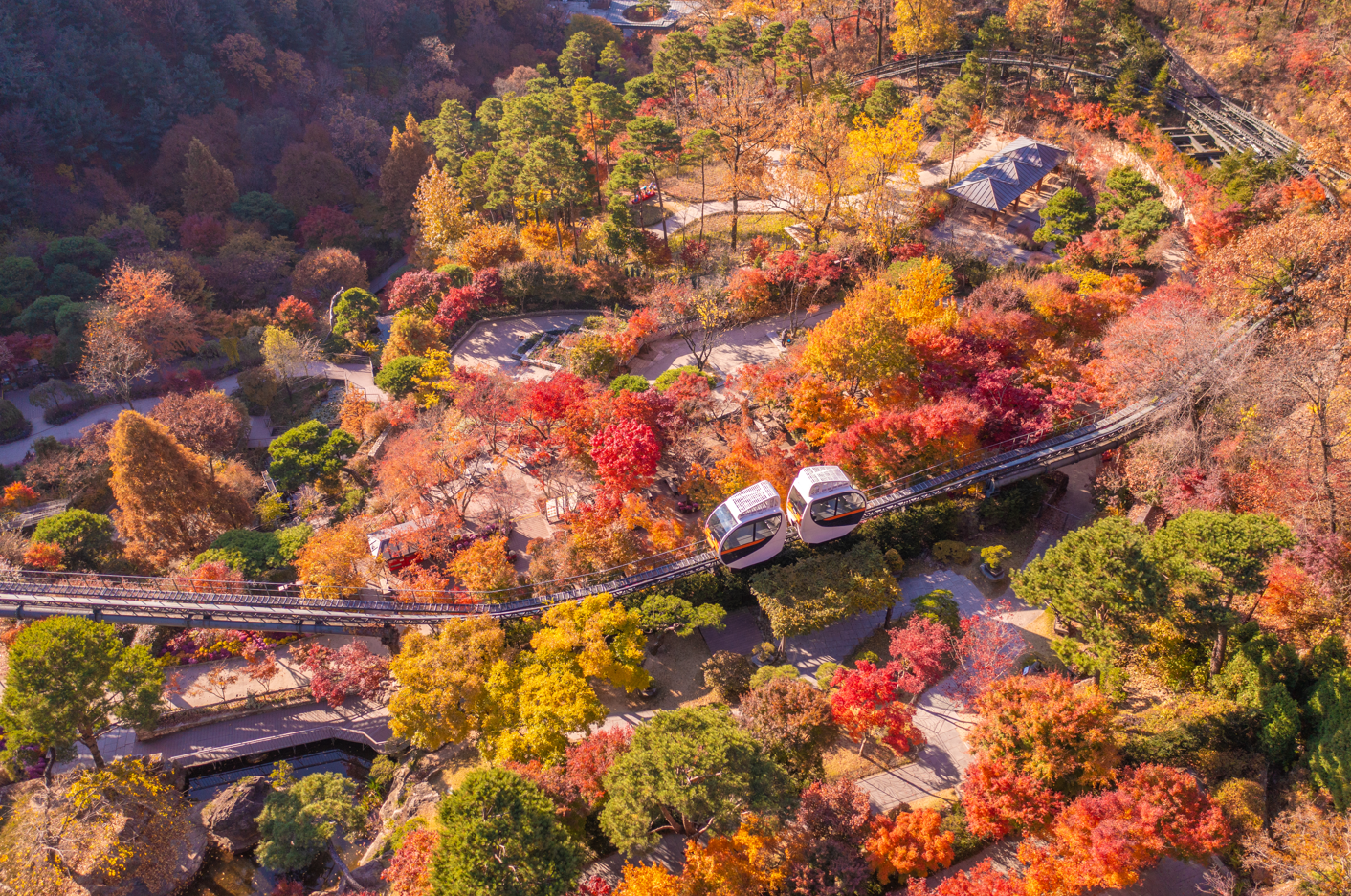 수도권 가을 단풍 명소 ‘화담숲’은 10월 24일부터 11월 16일까지 ‘2025년 가을 단풍 축제’를 개최한다