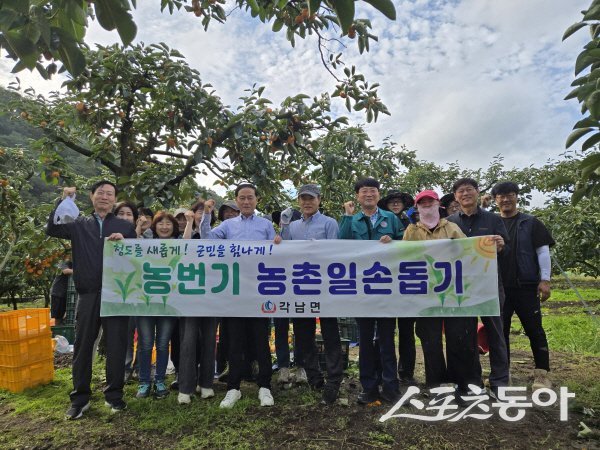 대구 파동행정복지센터와 파동주민자치위원회가 청도 각남면에서 농촌일손돕기를 했다. 사진제공 ㅣ 청도군