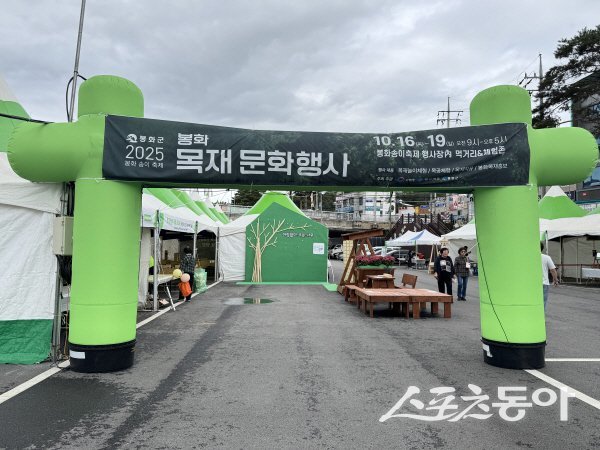 봉화송이축제장에서 ‘2025년 봉화 목재문화행사’가 진행되고 있다. 사진제공 ㅣ 봉화군