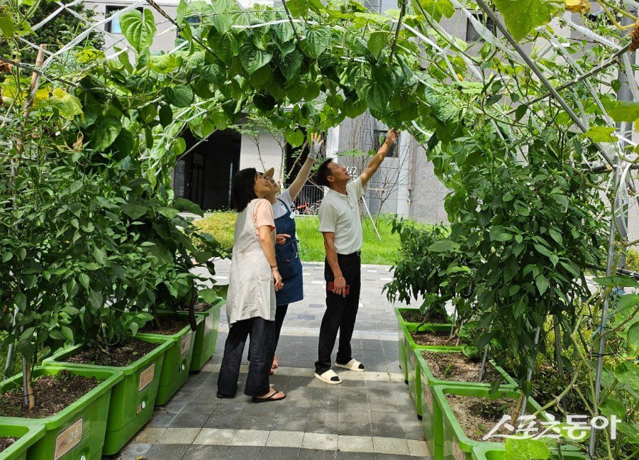 도시농업매니저들은 학교, 직장, 공공기관, 복지시설 직접 찾아가 맞춤형 서비스를 제공하고 있다. 사진제공ㅣ양주시