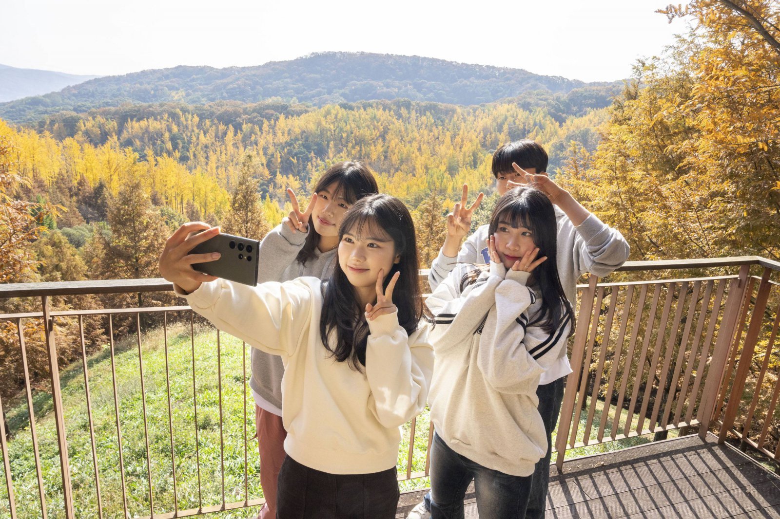 황금빛으로 물든 에버랜드 은행나무숲. (에버랜드 제공)