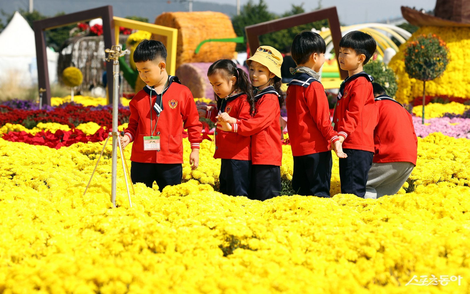 강진만 춤추는 갈대축제장. 사진제공=강진군
