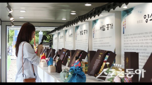 경상북도 ‘유튜브 경북여행단 프로젝트’ 에 전국 유튜버들이 본격 활동하고 있다. 사진제공 ㅣ 경북도