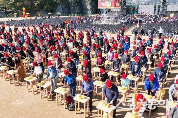 제18회 청송사과축제에서 꿀잼-사과난타 행사가 진행되고 있다. 사진제공 ㅣ 청송군