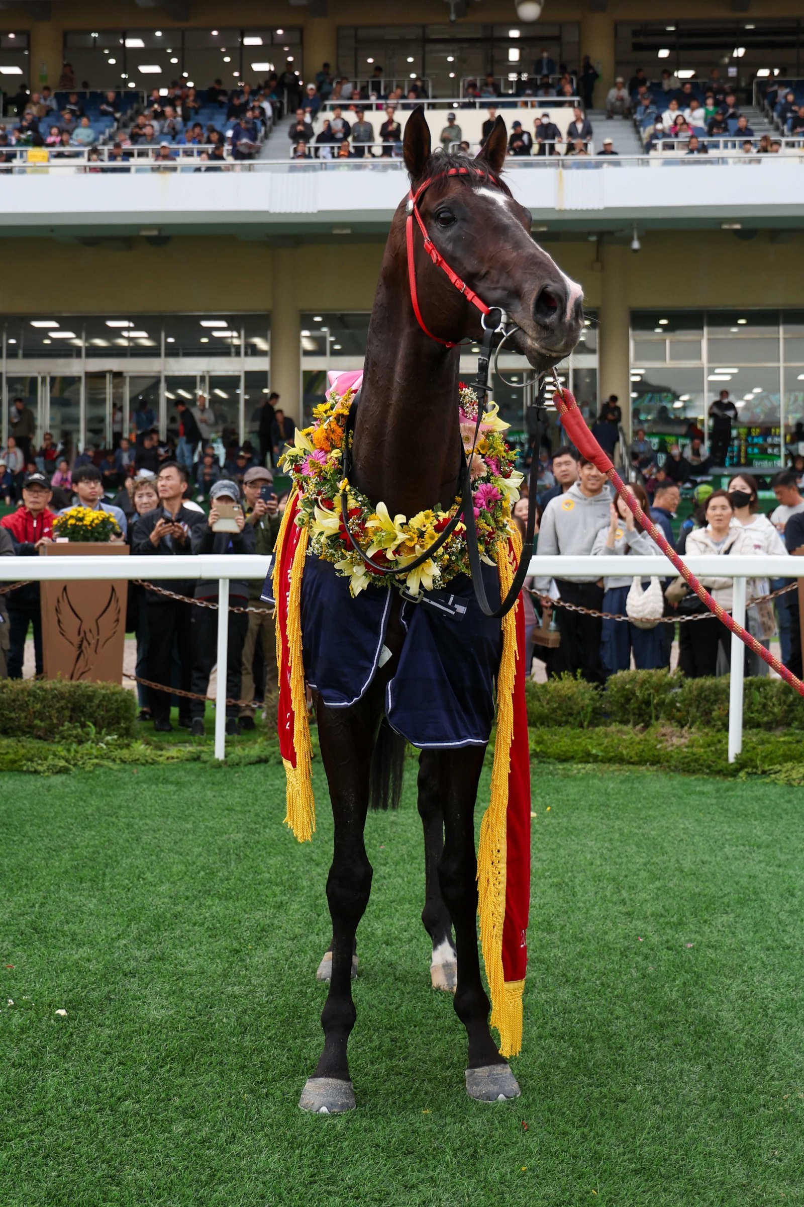 제21회 대통령배에서 우승을 차지한 스피드영.