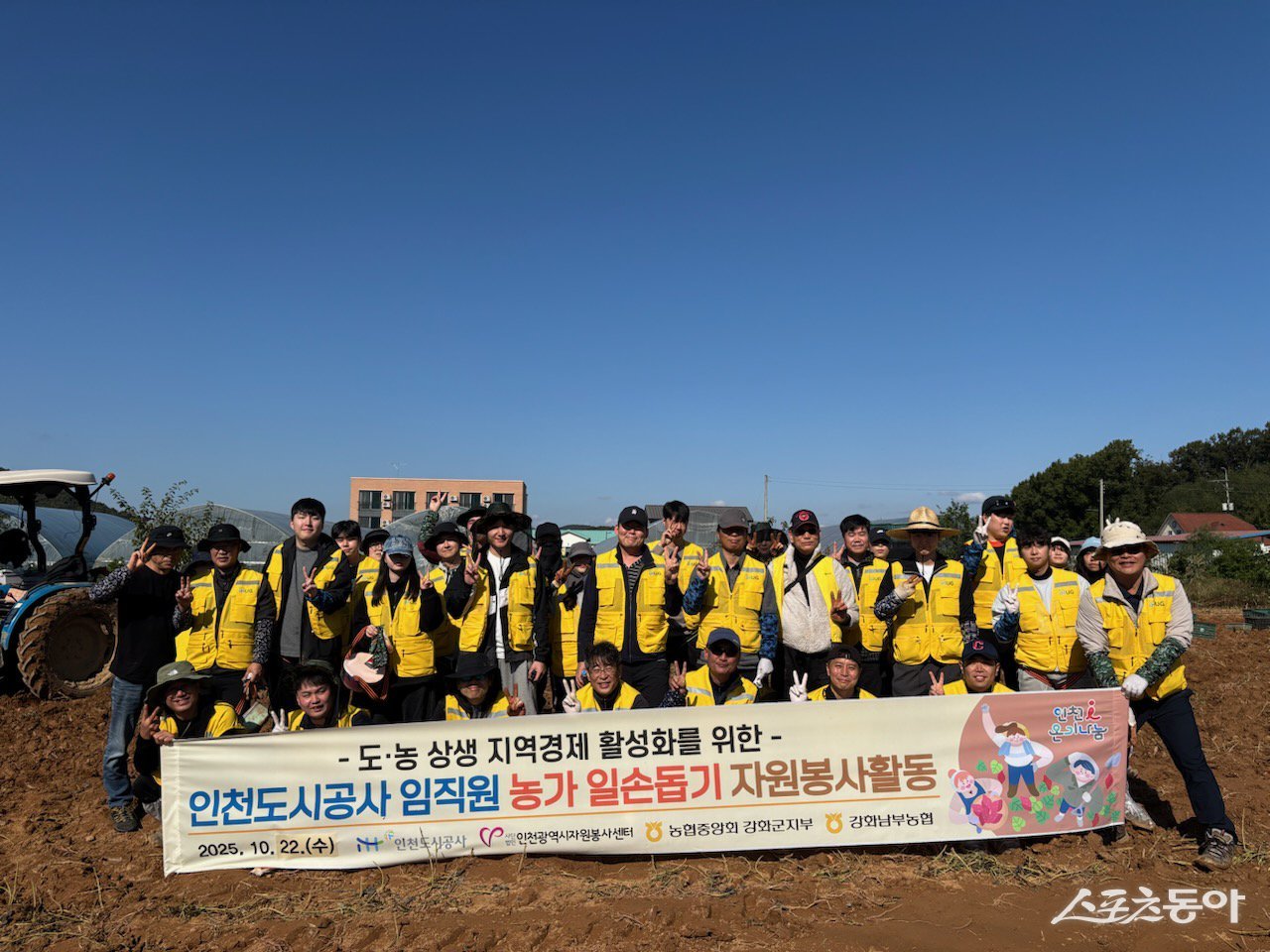 인천도시공사(iH)는 지난 22일 임직원 등 약 40여 명과 함께 인천 강화군 길상면 농가를 방문해 가을철 수확이 한창인 고구마 수확 작업을 지원했다. 사진제공|인천도시공사