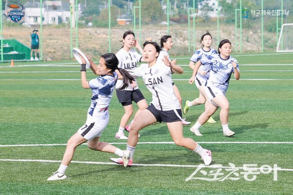 제17회 전국학교스포츠클럽 축전 플라잉디스크대회 경기 모습. 사진제공 ㅣ 경북교육청