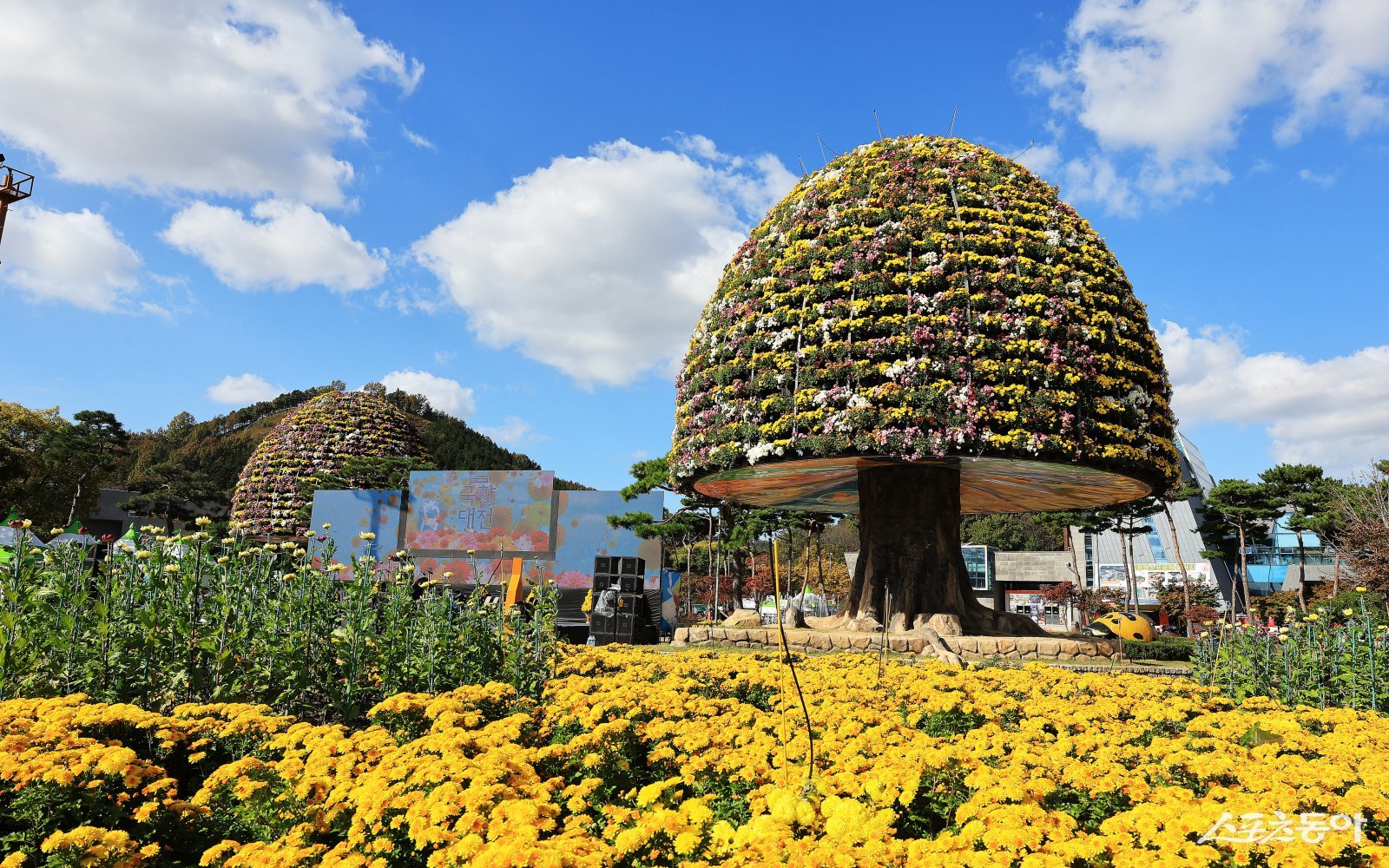 함평군이 2025 대한민국 국향대전을 맞이해 오는 24일부터 25일까지 SNS 인플루언서 등을 초청해 ‘2025 함평 관광 팸투어’를 진행한다. 사진제공=함평군