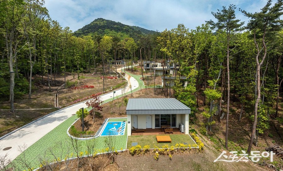 옹진군, 덕적도 자연휴양림의 모습이다. 사진제공｜옹진군청