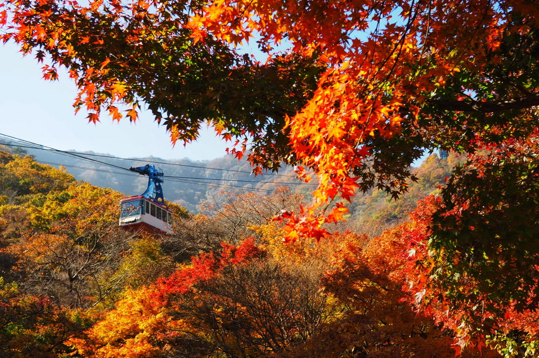 강원 속초 설악산 케이블카 전경