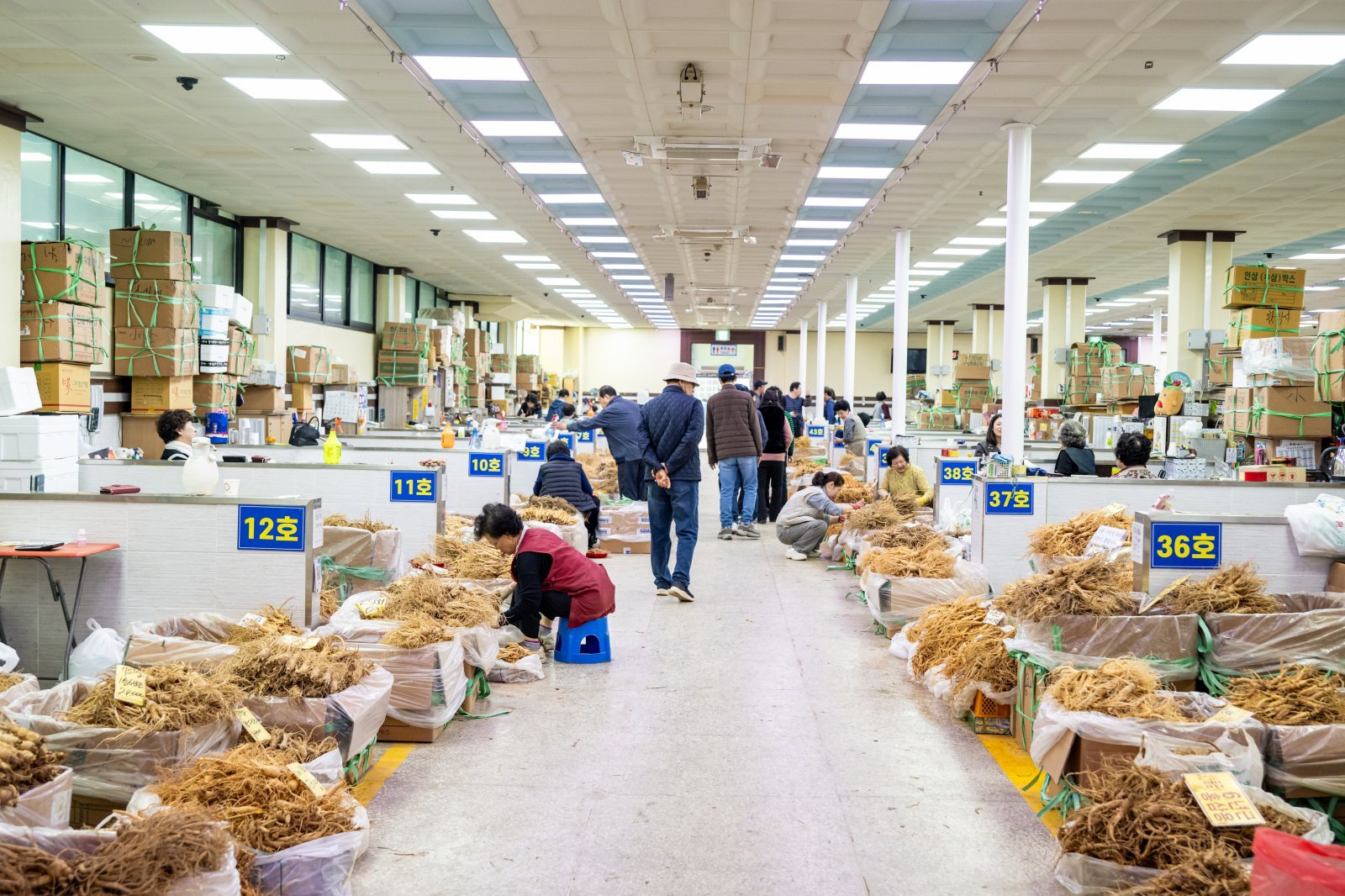 금산 인삼시장 풍경. 금산은 국내 인삼 유통의 85%가 이루어지는 ‘인삼의 수도’다.     사진제공 ｜ 지엔씨21