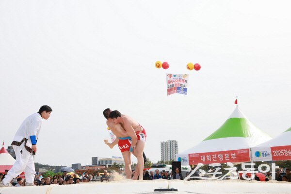 청송사과축제 특설 씨름장에서 제4회 청송황금사과 전국고교장사 씨름대회가 진행되고 있다. 사진제공 ㅣ 청송군