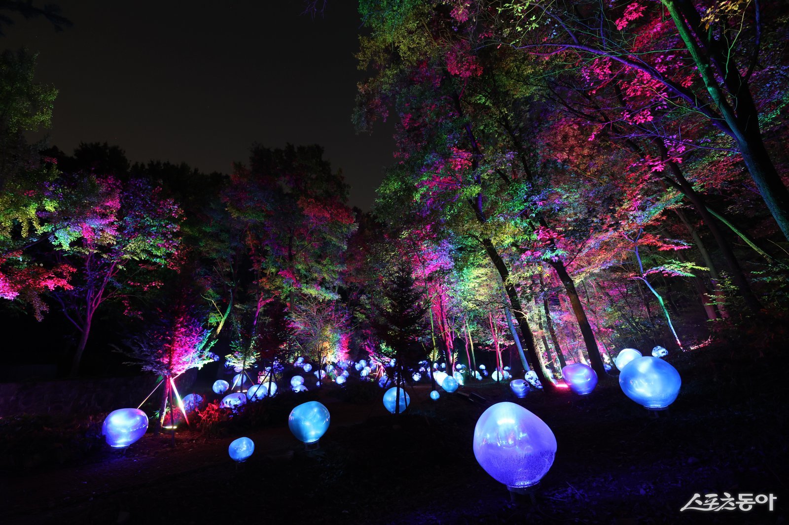 부천시가 지난 30일 ‘부천 루미나래’ 개장식을 열고, 31일부터 본격 운영에 들어갔다(형형색색의 복사꽃 씨앗이 빛나는 도화씨 구간 전경). 사진제공|부천시