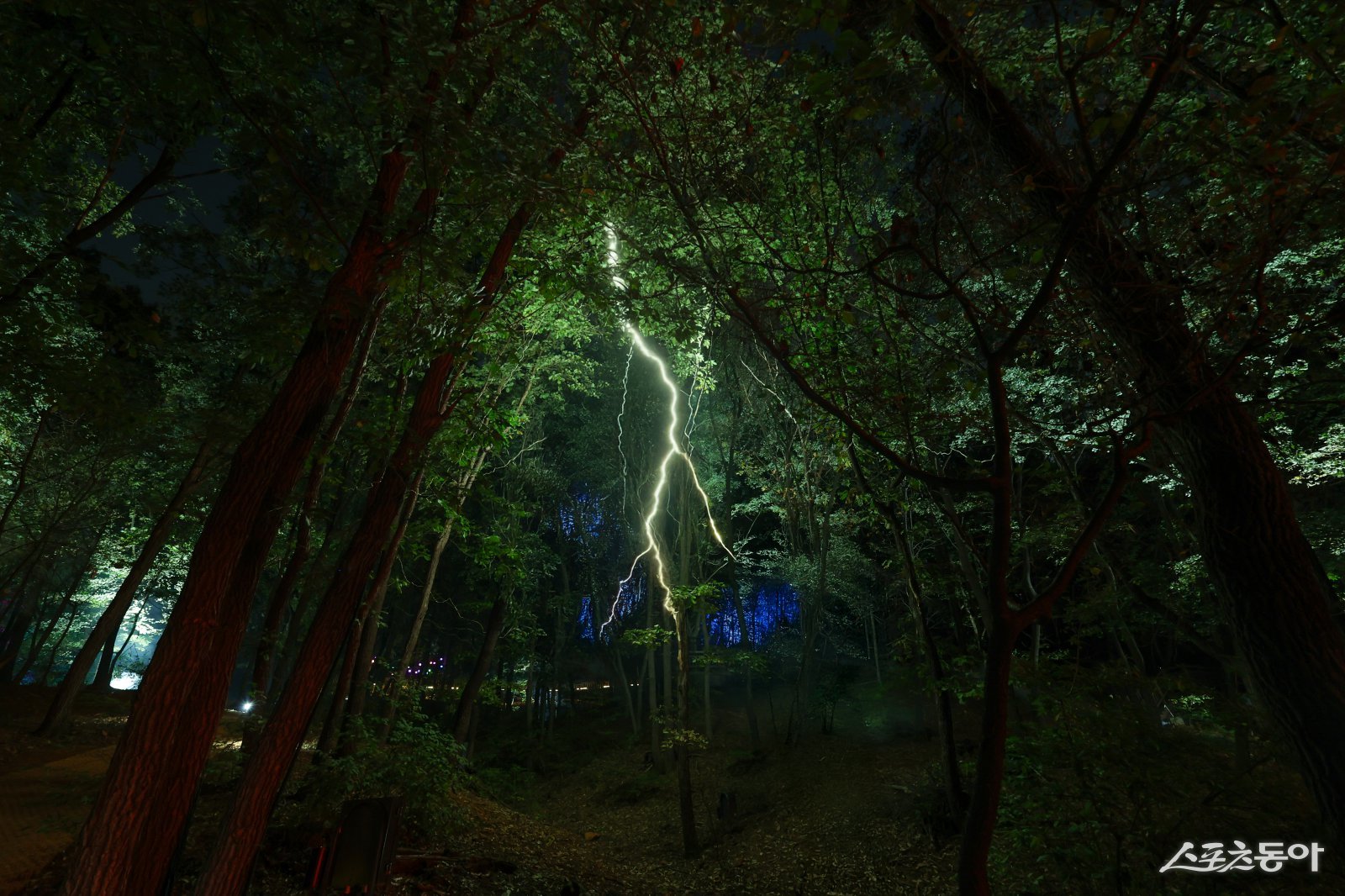 부천시가 지난 30일 ‘부천 루미나래’ 개장식을 열고, 31일부터 본격 운영에 들어갔다(레이저로 실감나게 구현된 천둥 구간 전경). 사진제공|부천시