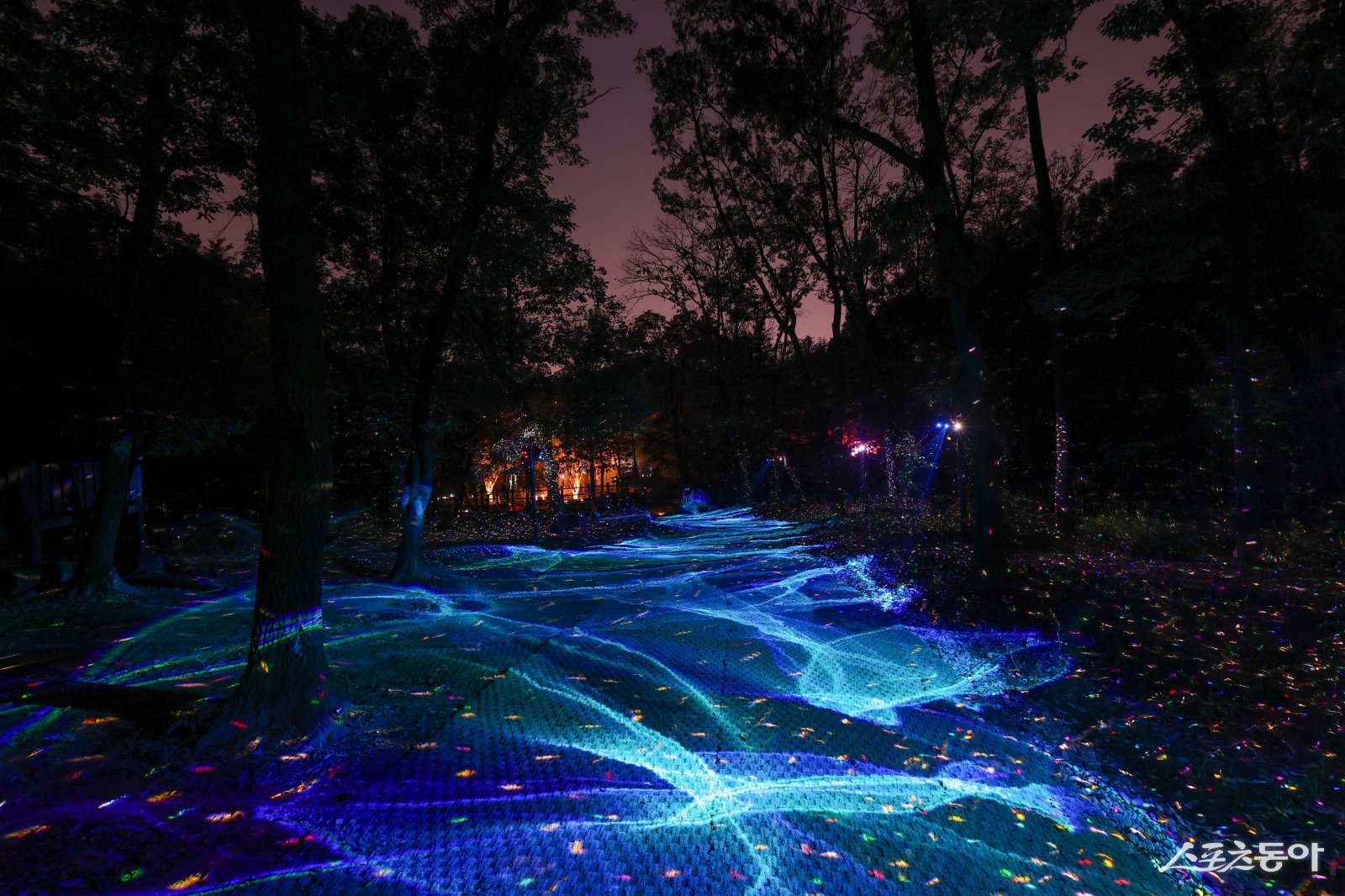 부천시가 지난 30일 ‘부천 루미나래’ 개장식을 열고, 31일부터 본격 운영에 들어갔다(숲길을 따라 반짝이는 별빛이 수놓는 은하수 구간 전경). 사진제공|부천시