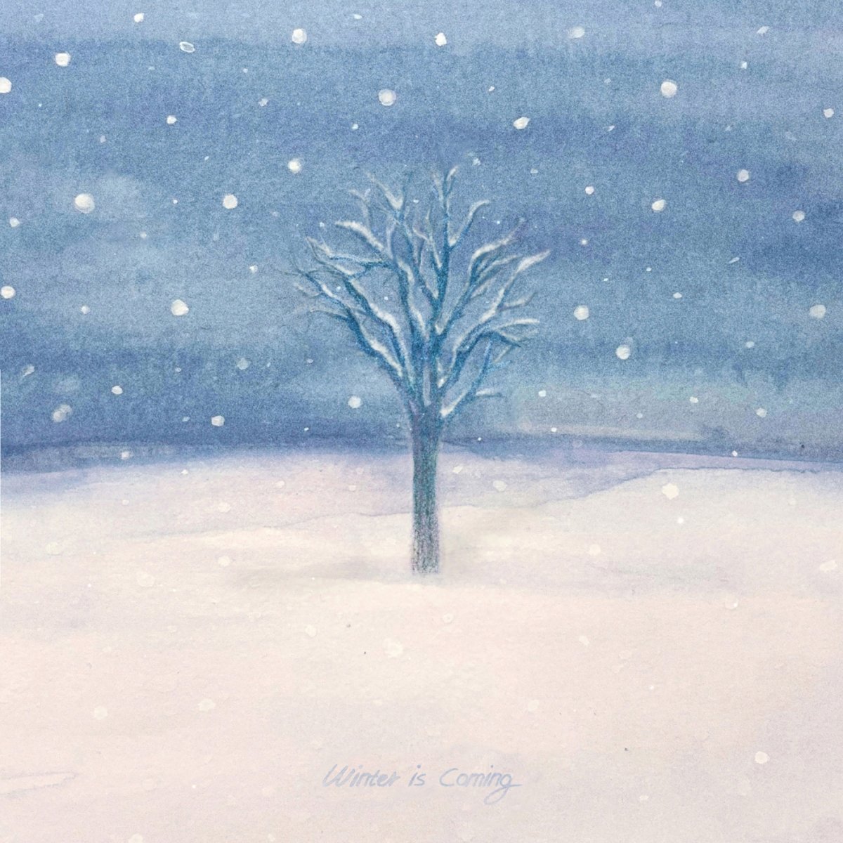 사진제공 | MIDNIGHT WAVE, HNS HQ 