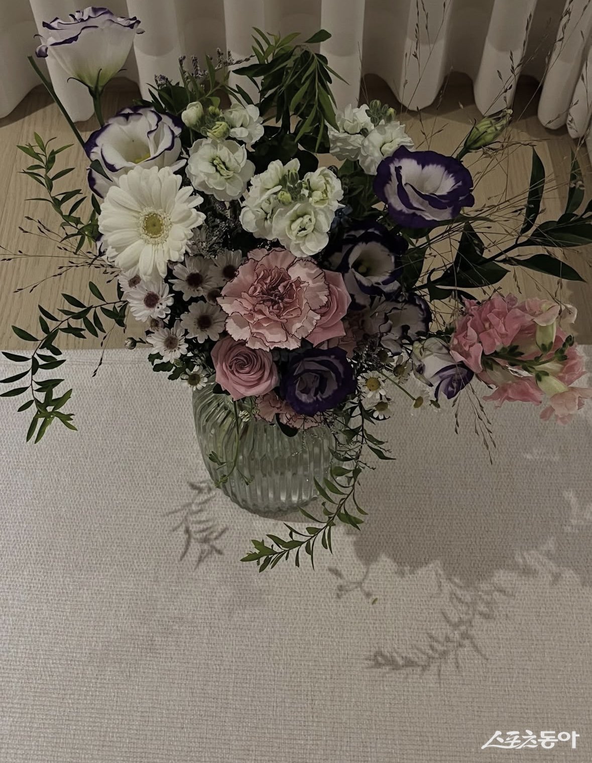 ¡®ÇÐÆø ÀÇȤ¡¯ °í¹Î½Ã, 2°³¿ù ¸¸¿¡ SNS Àç°³¡¦ÆÒµé ¹Ý»ö
