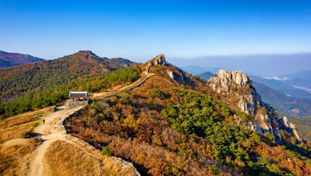 ¡°±ÝÁ¤»ê, ¸¶Ä§³» ±¹¸³°ø¿øÀ¸·Î¡±¡¦ºÎ»ê ½Ã¹Î»çȸ ¡°¹ü¾î»ç °á´Ü¿¡ Âù»ç¡±