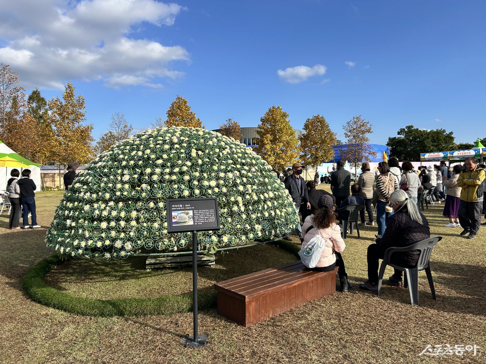천간작. 사진제공=함평군