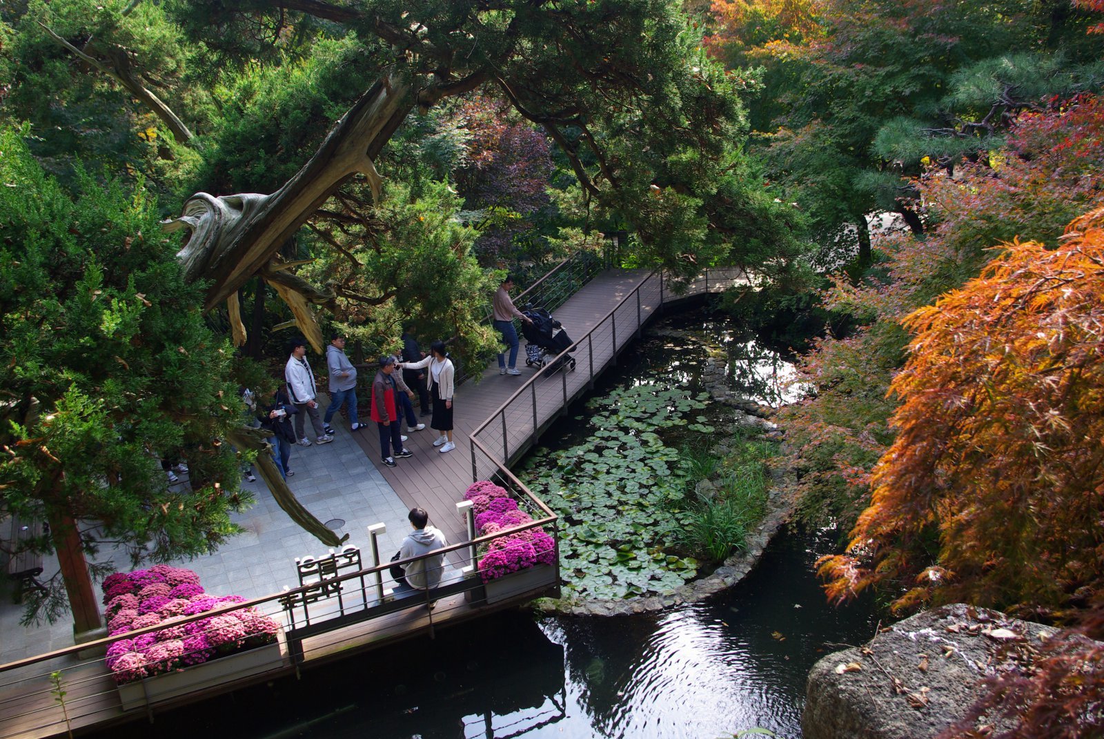 경기도 광주시 도척면에 자리한 화담숲은 4000여 종의 국내 자생식물과 도입식물을 볼 수 있는 ‘숲’이다. 사계절 모두 좋지만, 역시 단풍이 주인공인 가을이 최고다. 경기 광주 | 양형모 기자