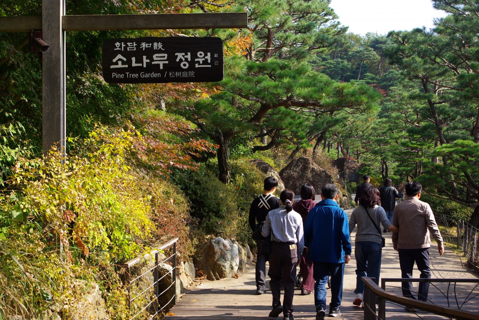화담숲은 작은 정원의 연속이다. ‘소나무 정원’으로 들어서는 관람객들