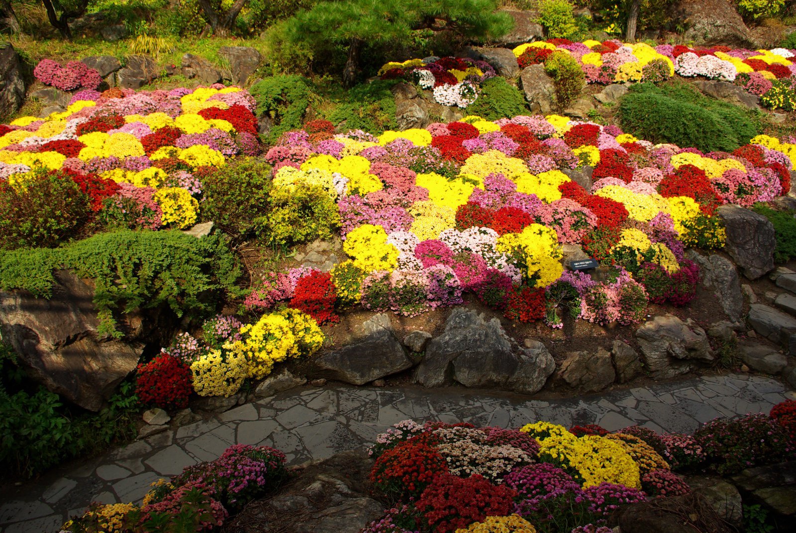 위에서 내려다보는 풍경이 유화같은 하경정원