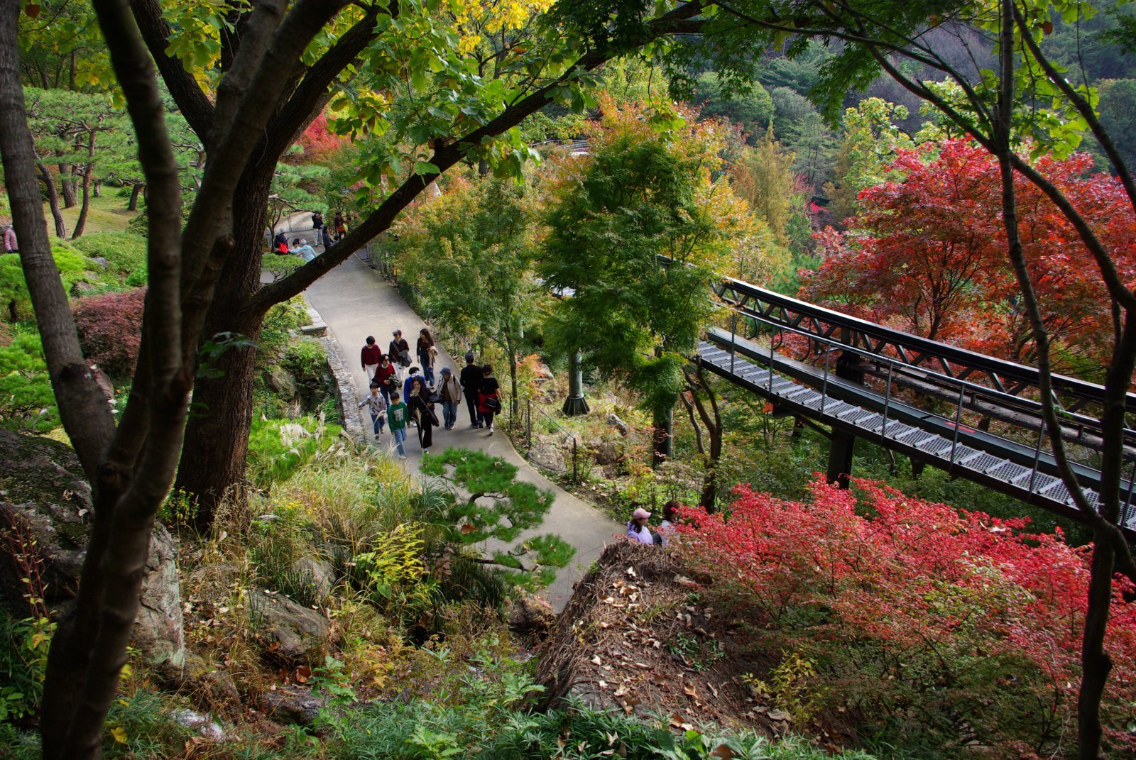 멀리서 보면 관람객들도 숲의 일부처럼 보인다. 오른쪽은 모노레일을 위한 레일