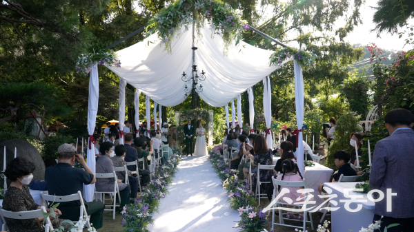 사례 분야 대상을 수상한 예천 김두현 씨의 ‘내가 사는 식물원 속 작은 결혼식’ 광경. 사진제공 ㅣ 경북도