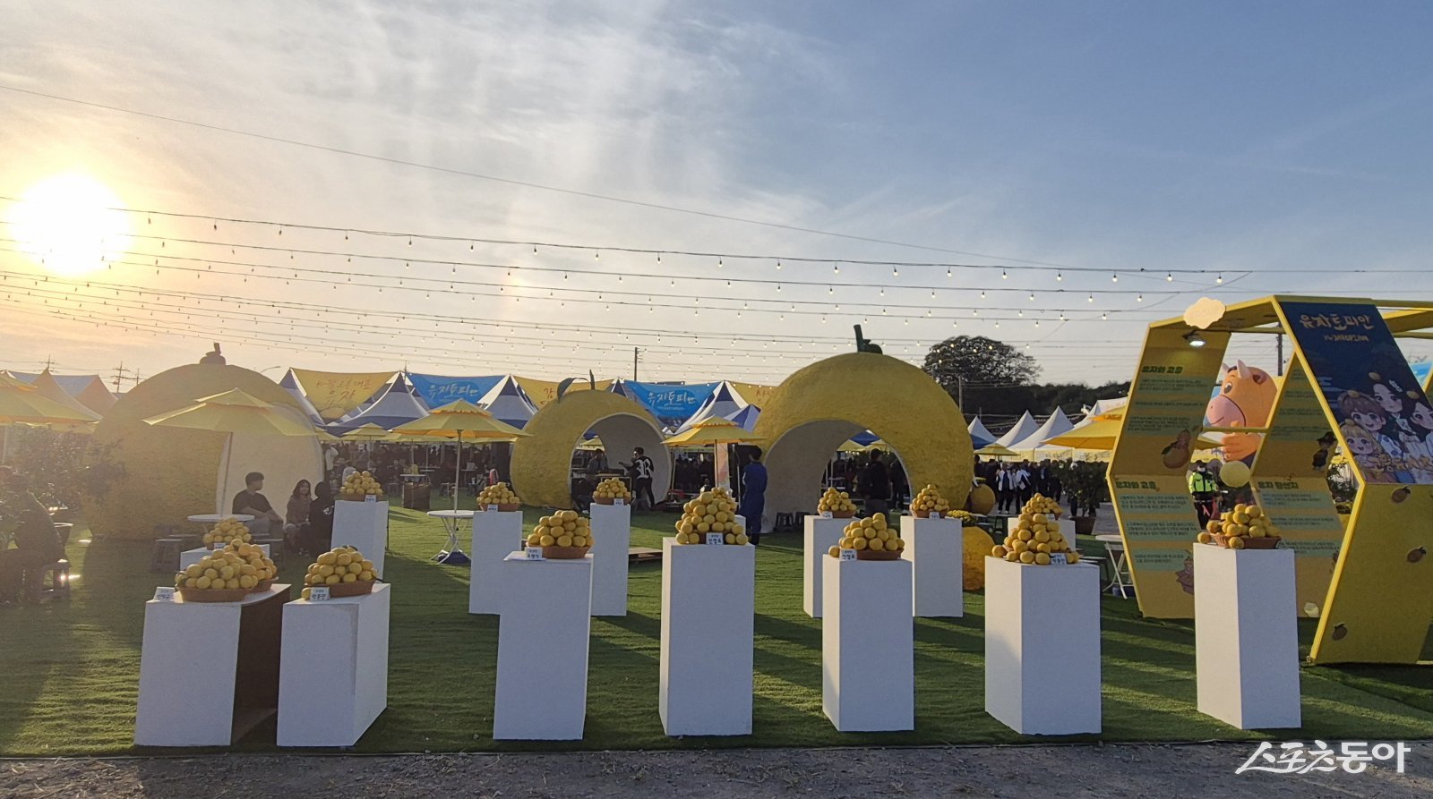 6일 오후 제5회 고흥유자축제장. 사진제공=이세영 기자