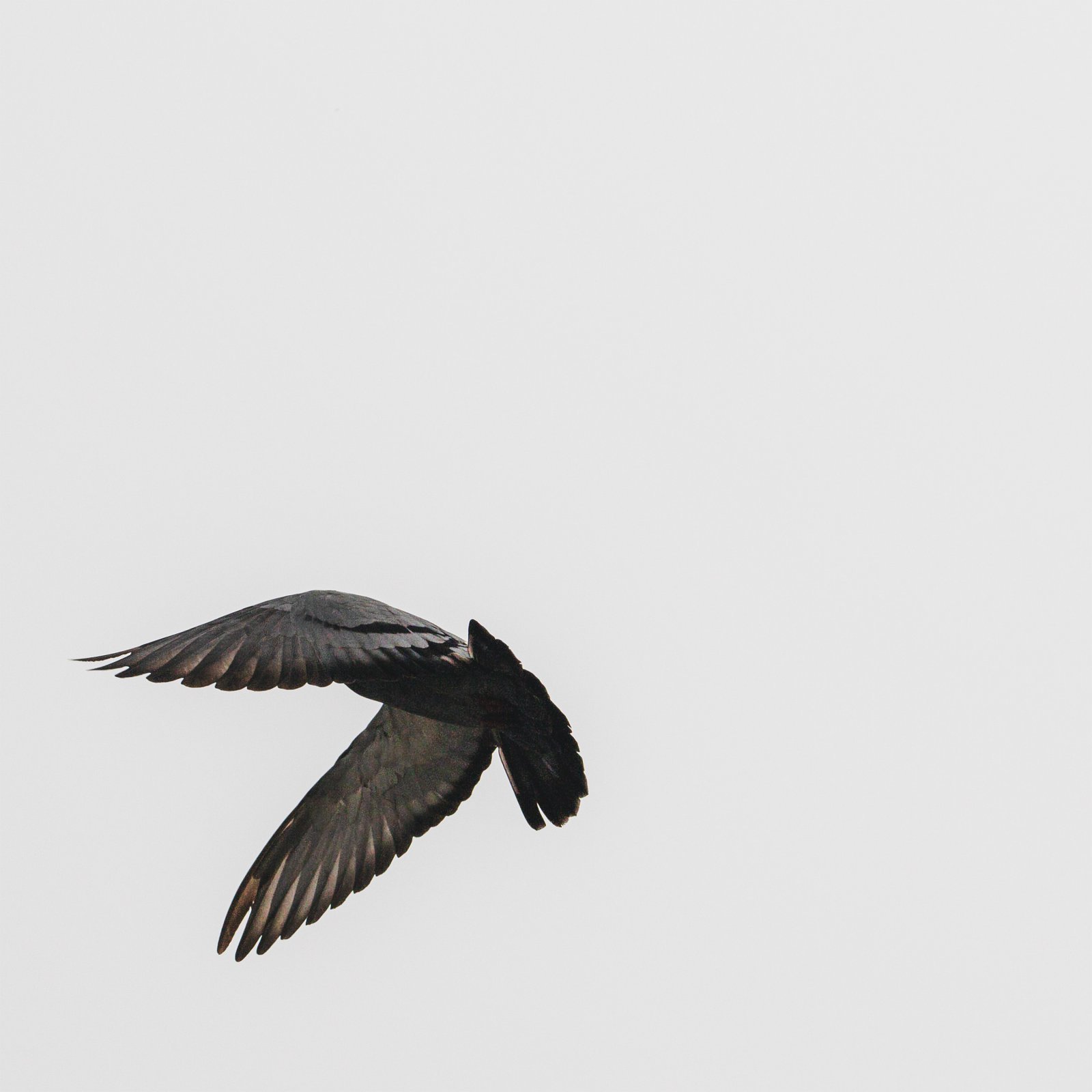 [사진제공=안테나]