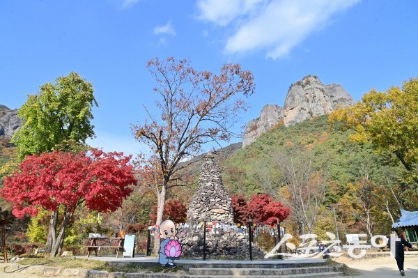 청송 주왕산이 붉고 노란 단풍빛으로 물들기 시작했다. 사진제공 ㅣ 청송군