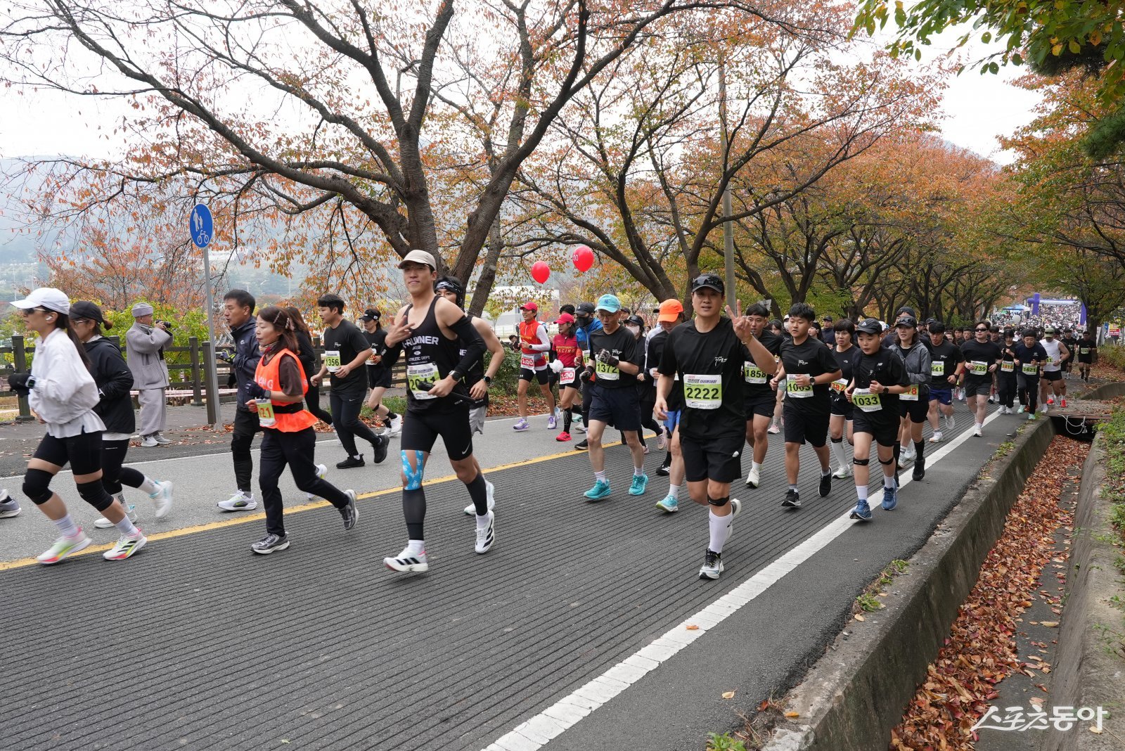 ‘2025 영천댐 마라톤대회’ 참가자들이  힘찬 레이스를 하고 있다.  사진제공ㅣ영천시