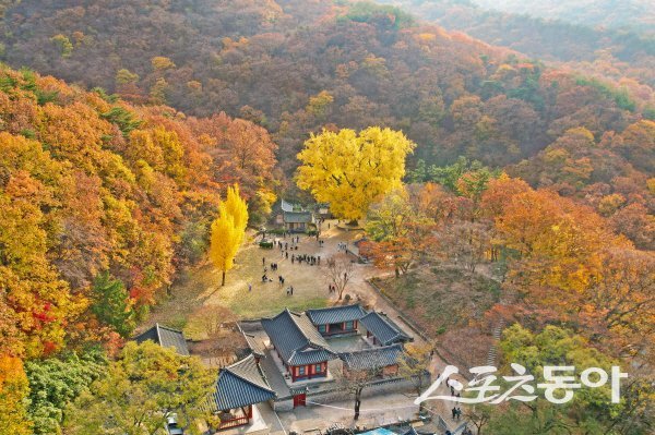 경주 운곡서원은가을이면 낙엽이 마당을 덮으면 그 자체로 한 폭의 그림이 된다. 사진제공 ㅣ 경주시