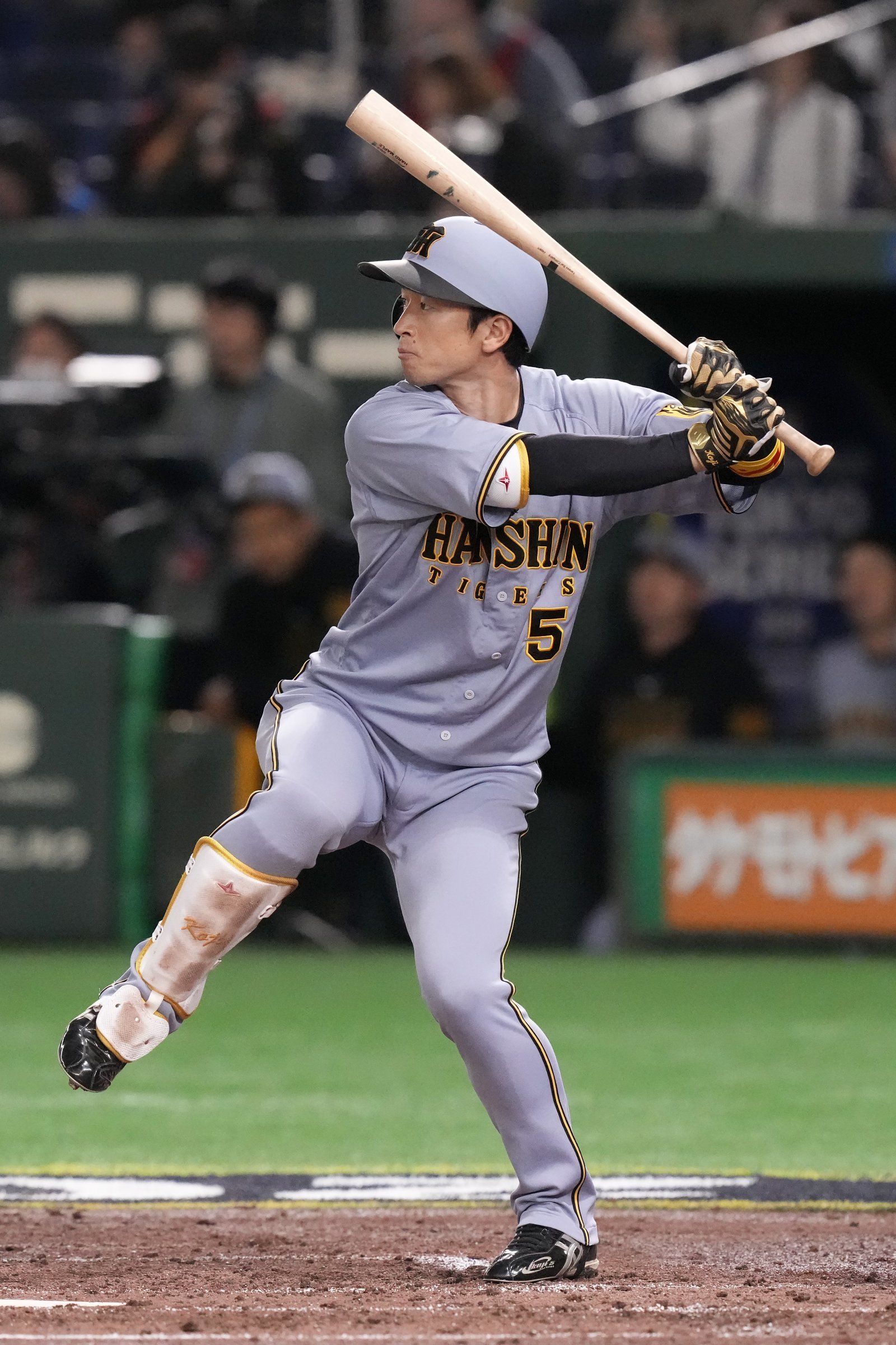 2025시즌 NPB 골든글러브의 주인이 모두 가려졌다. 센트럴리그 최고 승률을 기록한 한신은 총 7명의 수상자를 배출했다. 외야수 부문 수상에 성공한 한신 치카모토 고지. AP뉴시스