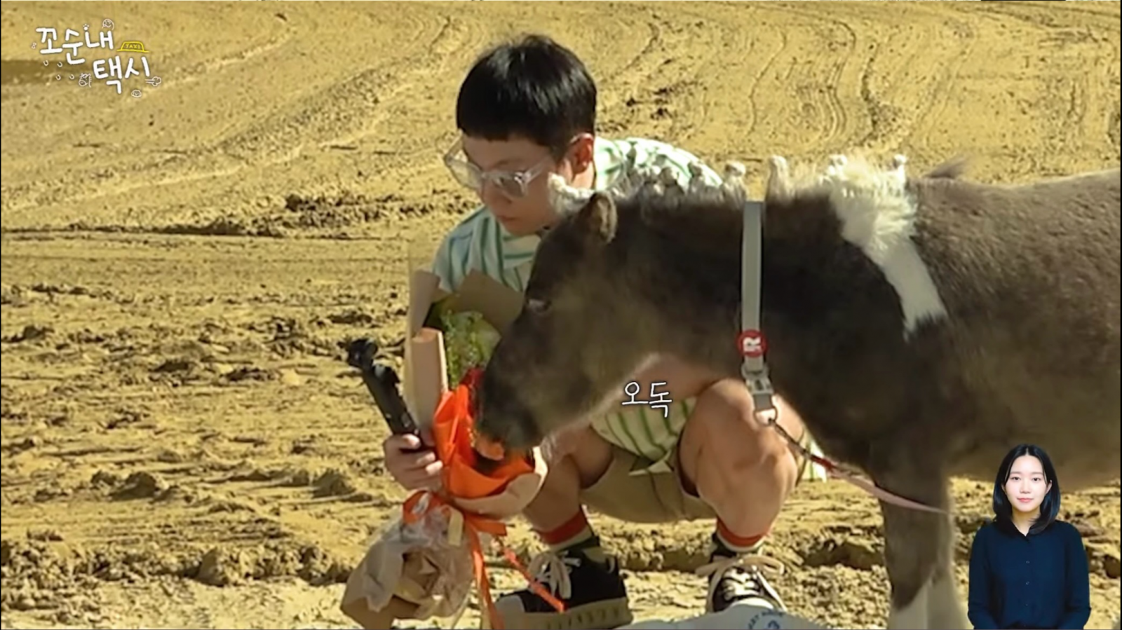 유튜브 채널 ‘팔팔비디오’ 캡처