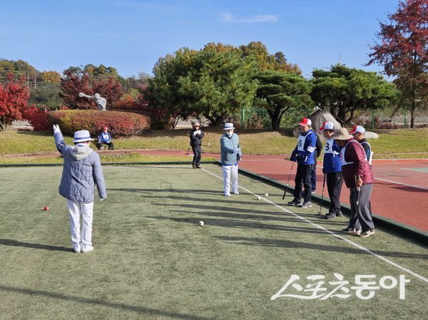김천시가 제10회 노인회장기 게이트볼 대회를 진행하고 있는 모습. 사진제공ㅣ김천시