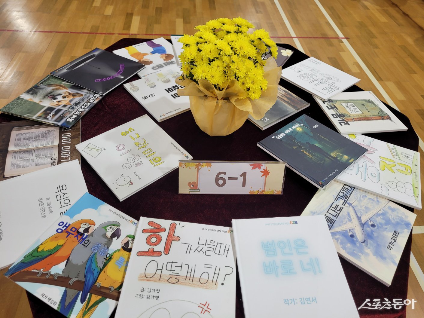 인천마곡초등학교(학교장 송영숙)는 14일 전교생이 직접 만든 ‘나만의 책’을 축하하는 출판 기념회를 개최했다. 사진제공｜인천마곡초