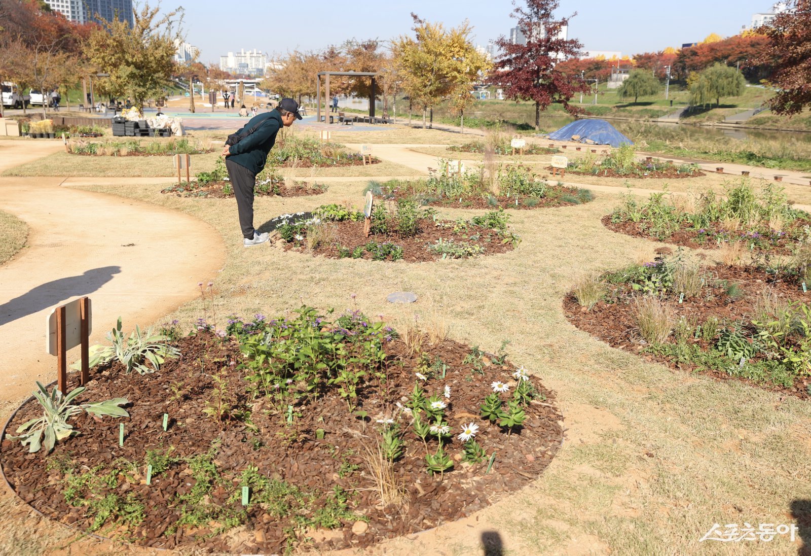 시민이 직접 설계·조성한 ‘안양천 시민참여정원’. 사진제공|광명시
