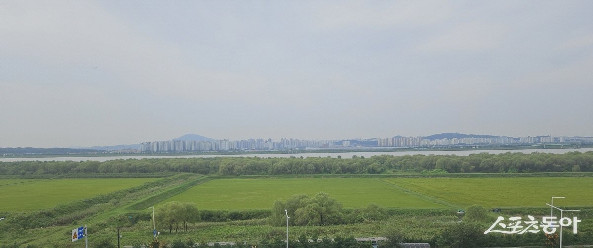 장항습지 전경. 사진제공ㅣ고양시 