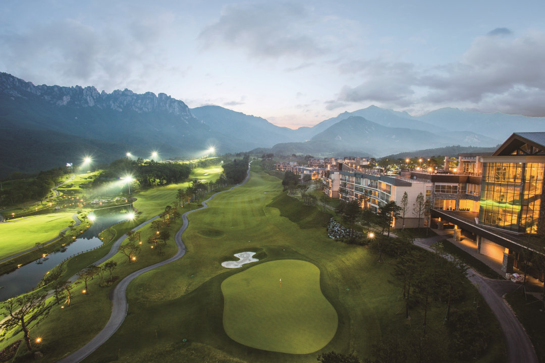 소노펠리체 CC 델피노