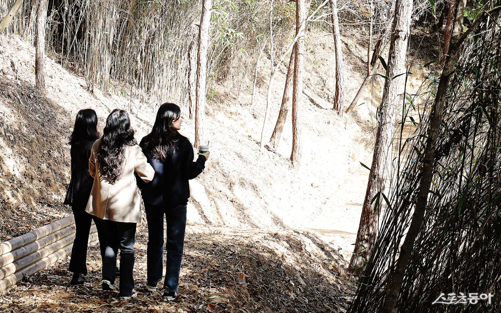 함평군 기산봉 힐링숲길 산책 사진. 사진제공=함평군