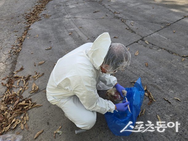 사진제공ㅣ경기도북부청