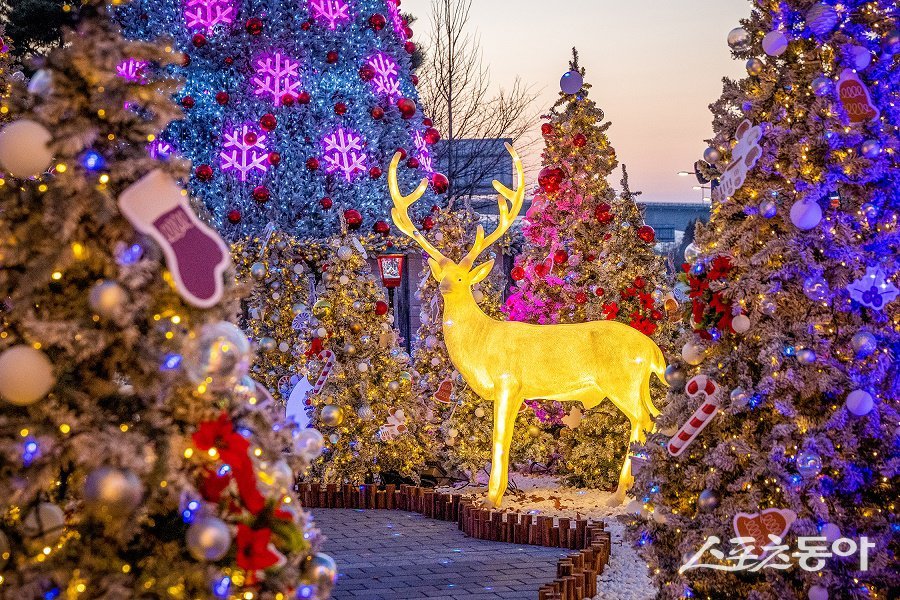 인천 계양구, 2025 크리스마스 페스타’ 점등식을 개최했다. 사진제공｜인천 계양구청